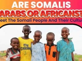 Are Somalis Arabs Or Africans Meet Somali People And Their Culture