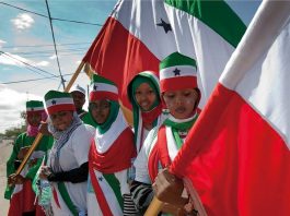 The Country That Does Not Exist A History of Somaliland