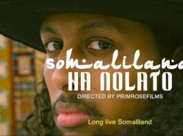 Interview With Hallie Primus Creator Of Long Live Somaliland