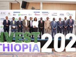 Ethiopia In Better Position To Attract Investments: Investors