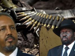 Somalia And South Sudan Campaign For UN Arms Embargo Removal