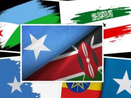 Newest Anti-Somaliland Front Las Anod War