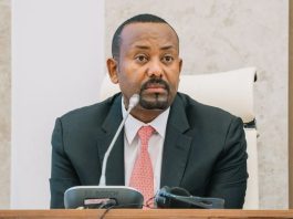 Ethiopia Seeks Port Access Through Negotiations And Force