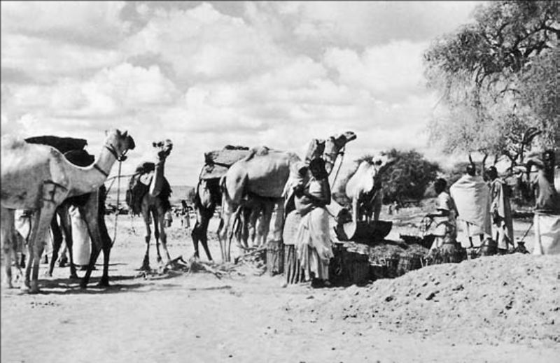 Chapter 6 – Place Of Exile From The Prophet's Camel Bell A Memoir Of Somaliland