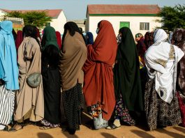 Would Somaliland’s Citizens Benefit From State Capacity Libertarianism