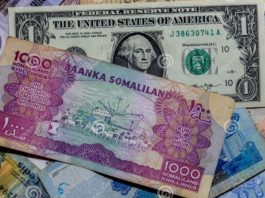 FDI In Somaliland, A Vehicle For Prosperity Or A Source Of Social Inequality