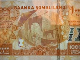 Worldremit Founder Urges De La Rue To End Its Contract With Somaliland For Printing Banknotes