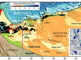 Crustal Structure And Seismic Anisotropy Of Rift Basins In Somaliland