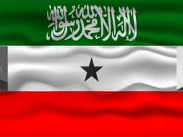 The Kosovo Conditions and The Case For American Unilateral Recognition Of Somaliland