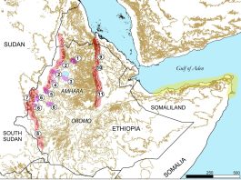 Making and Unmaking The State In The Horn Of Africa: A Deep-Time Perspective