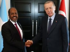 Somalia-Turkey Defense Deal Is No Game Changer