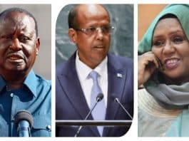 Djibouti's Entry for AUC Chairmanship and East Africa's Divided Front