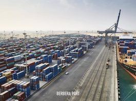 Berbera Vs. Djibouti, A Deep Dive Into The World Bank's Container Performance Report 2023