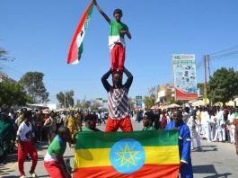Navigating Complex Geopolitics of the Horn: The Ethiopia-Somaliland MoU and Regional Dynamics