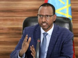 Somali President's Recent Statements Deny The Reality On The Ground, Go Against Good Neighborliness, Ethiopia