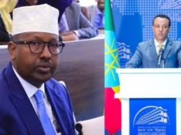 Ethiopia Dismisses Somalia's Rebel Support Threat as 'Comical', Escalating Tensions