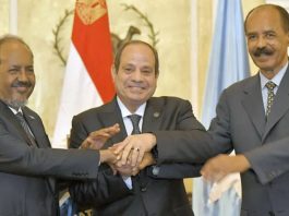 Egypt, Somalia and Eritrea Cement 'Axis Against Ethiopia'