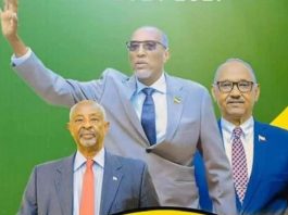 Recognition in the Making, Somaliland's Transformation under Muse Bihi