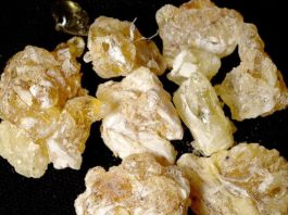 U.S. to Seize Frankincense Imports from Somaliland Supplier Accused of Forced Labor