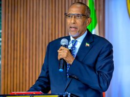 Somaliland Intellectuals Unite in Endorsing President Bihi for a Second Term