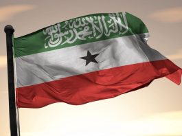 Somaliland’s Democratic Journey