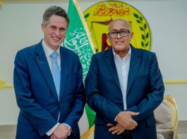 Somaliland's Moment, Sir Gavin Williamson's Call for UK Recognition