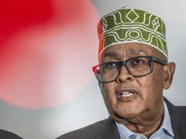 Elections in Somaliland: Outcome and Possible Implications – Part 2 Elections in Somaliland, Outcome and Possible Implications – Part 2