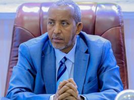 Somaliland Reports Economic Upswing as Finance Minister Announces Revenue Growth Strategy