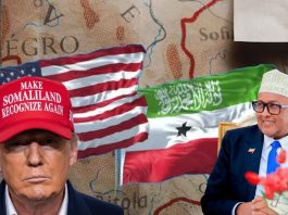 Somaliland’s American Dream: Irro’s Upcoming Visit and Potential Deals Somaliland's American Dream, Irro's Upcoming Visit and Potential Deals