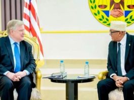 A Lesson or Two: Somaliland’s Strategic PR and Global Lobbying A Lesson or Two, Somaliland’s Strategic PR and Global Lobbying