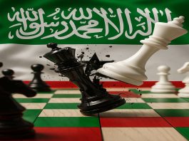 The Unrecognized Nation’s Stand, Against Egyptian Generals and Somali Ambitions