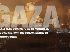 UN Commission Finds Israel Committed Genocide in Gaza, Urges International Action
