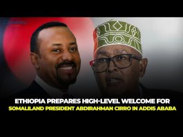 Somaliland President's Strategic Visit to Ethiopia Signals New Era of Regional Cooperation