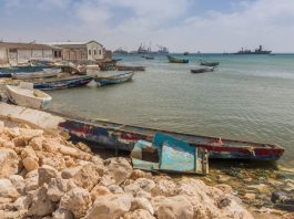 When Moscow Looked to the Horn of Africa When Moscow Looked to the Horn of Africa