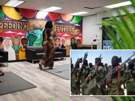 The Largest Funder of Al-Shabaab Is the Minnesota Taxpayer