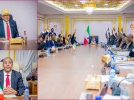 Somaliland Approves Record $424 Million Budget in Test of Fiscal Momentum