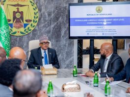 Somaliland Declares Full Sovereignty over Its Airspace, Rejects Somalia’s E-Visa Scheme