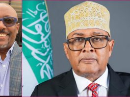 Ethiopian-American Political Analyst Urges Somaliland to Force Diplomatic Showdown