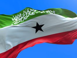 Somaliland and Israel – Considerations for Recognition and Cooperation