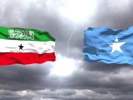 Somalia and Somaliland: A Conflict of Existence, Not Politics Somalia and Somaliland, A Conflict of Existence, Not Politics