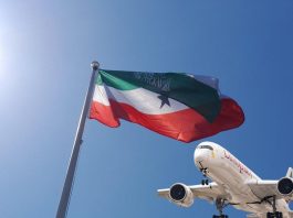 Somaliland’s Skies International Aid, Misapplied Resolutions, and the Struggle for Aviation Sovereignty
