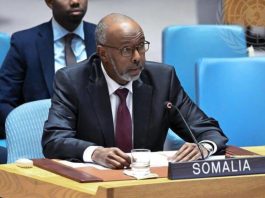 As Somalia Prepares to Lead the UN Security Council, Questions Mount Over Its Top Diplomat’s Past