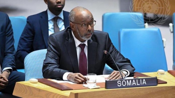As Somalia Prepares to Lead the UN Security Council, Questions Mount Over Its Top Diplomat’s Past