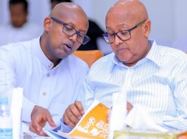 The Betrayal Within: How Abdirahman Irro’s Presidency Is Being Deliberately Ruined The Betrayal Within, How Abdirahman Irro’s Presidency Is Being Deliberately Ruined