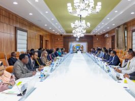 Somalia Approves Maritime Cooperation Deal with Egypt as Cairo Expands Red Sea Strategy