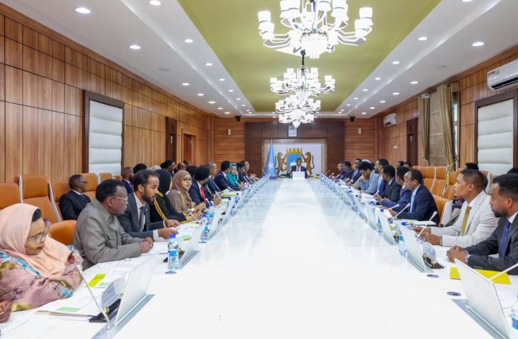 Somalia Approves Maritime Cooperation Deal with Egypt as Cairo Expands Red Sea Strategy