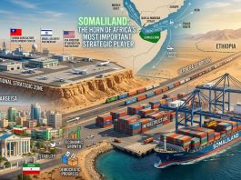DW Panel, Somaliland Is Becoming the Horn of Africa's Most Important Strategic Player