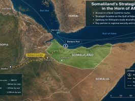 The Somaliland Test, Recognition, Political Reality, and International Order