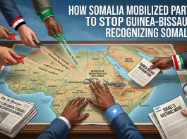 How Turkey, Egypt and Saudi Arabia Helped Somalia Block Guinea-Bissau’s Planned Recognition of Somaliland