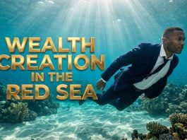 Commercial Sovereignty, A Blueprint for Global Asset Control